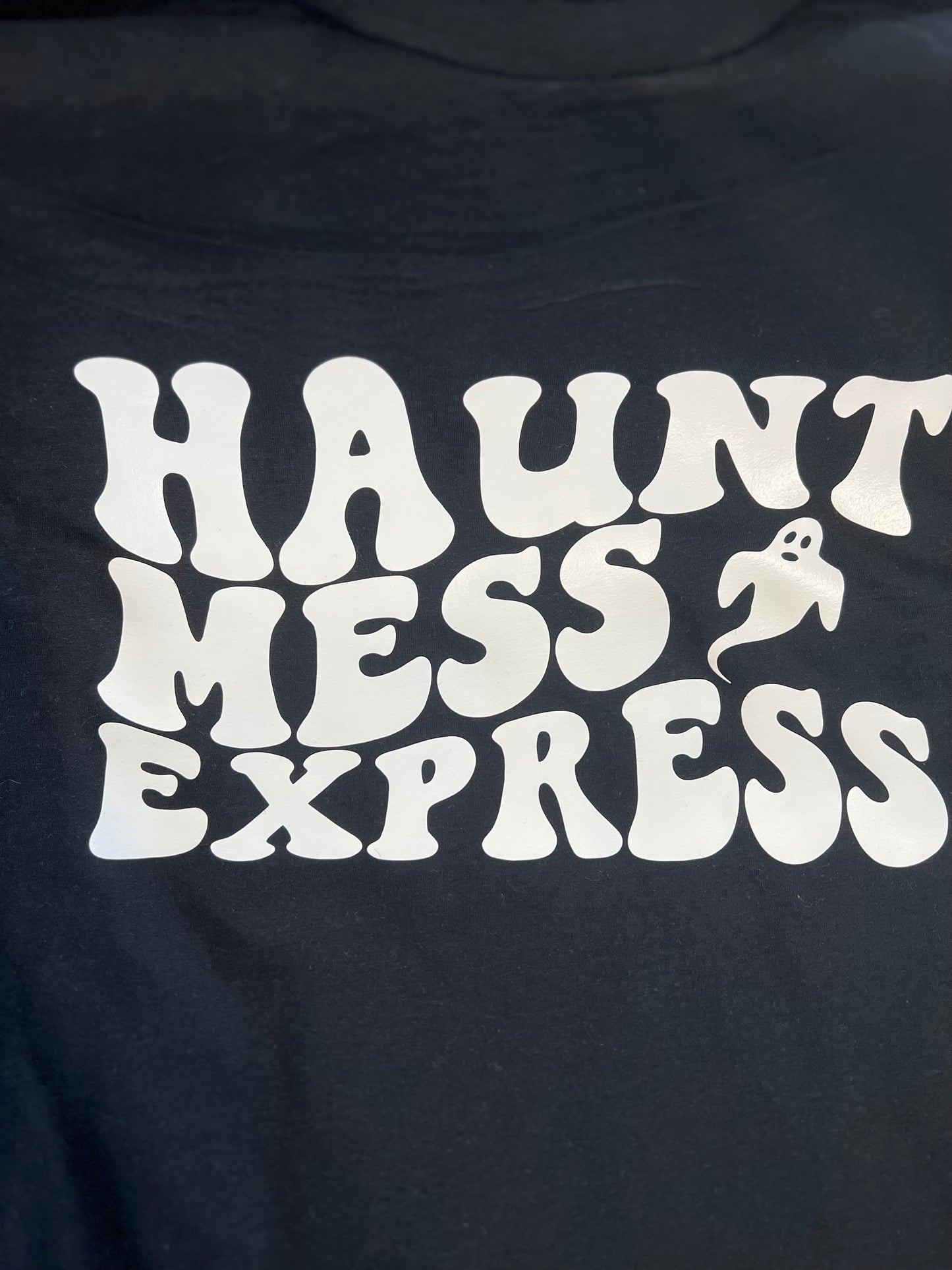 Haunt Mess Express tee - sz lg